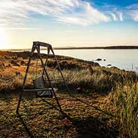 自动攻击网站工具下载