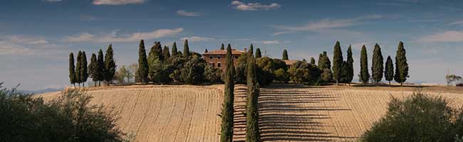 绿色节能环保的网站压力测试