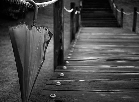 ddos网页版